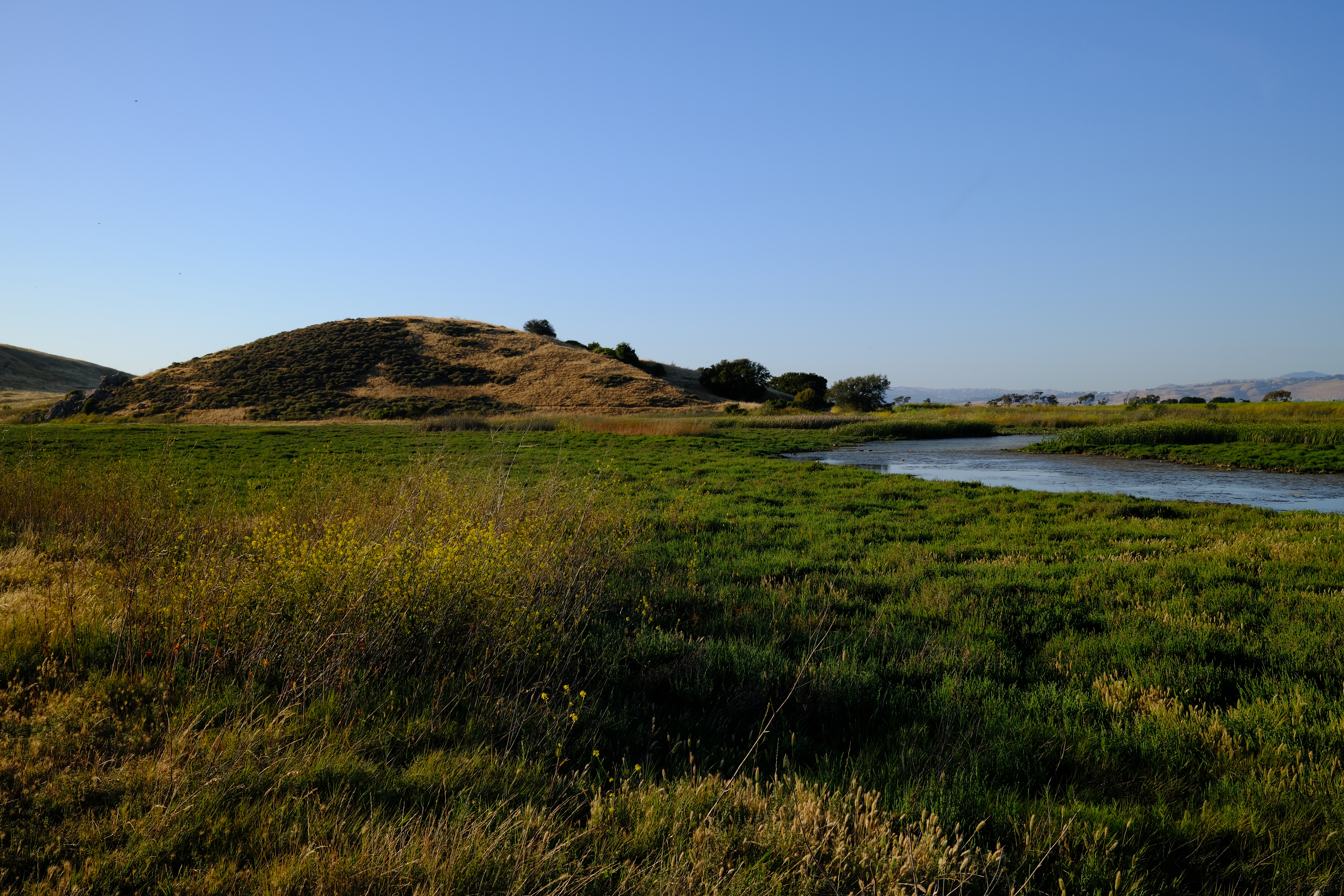 DSCF0027.jpg