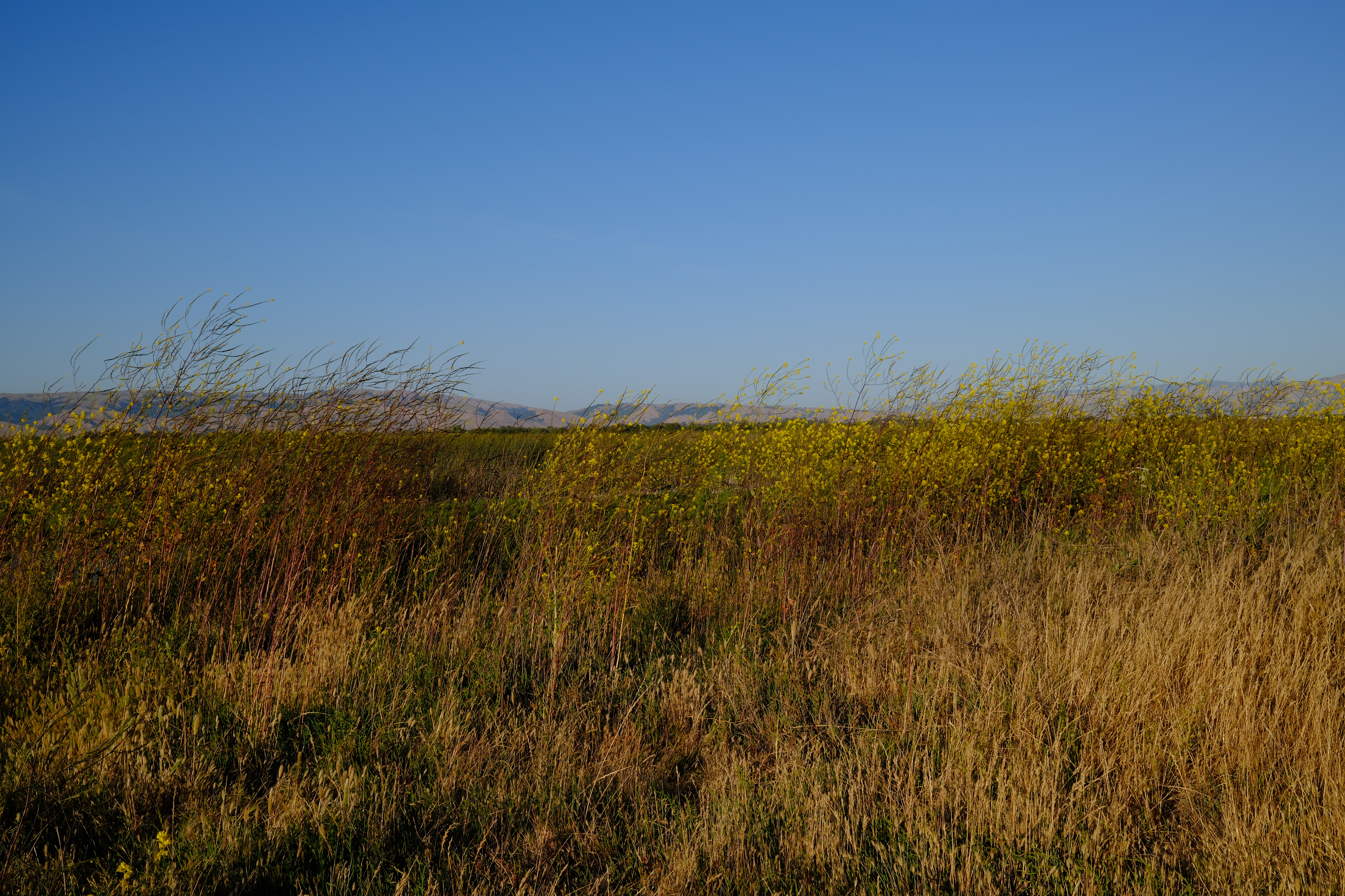 DSCF0029.jpg