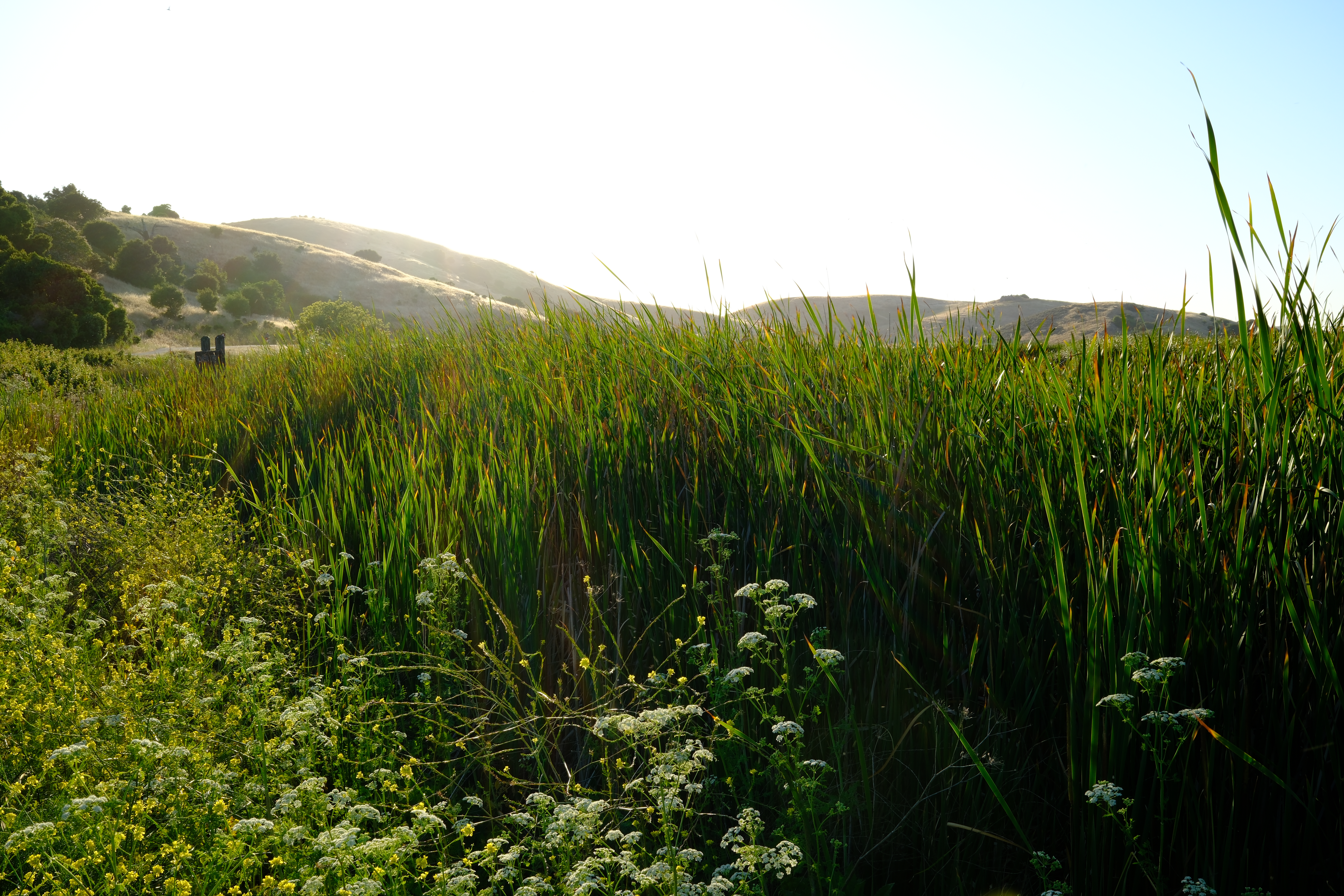 DSCF0046.jpg