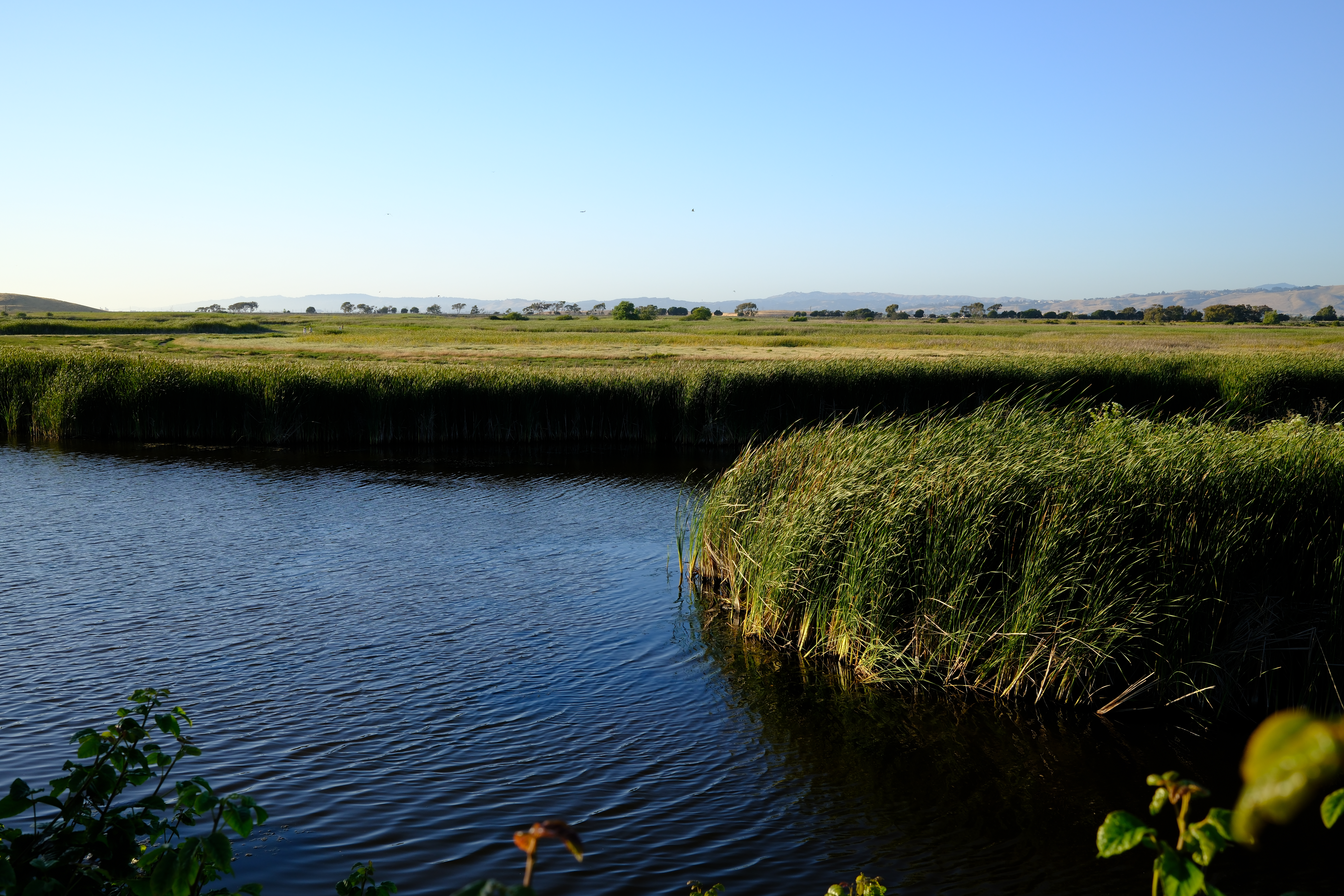 DSCF0056.jpg